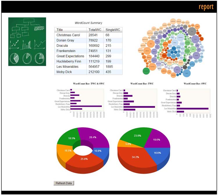 Data Visualizations